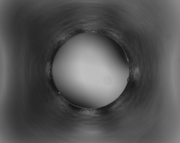 X0000086980767200705071416