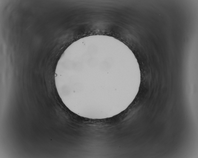 X0000086980769200705071416