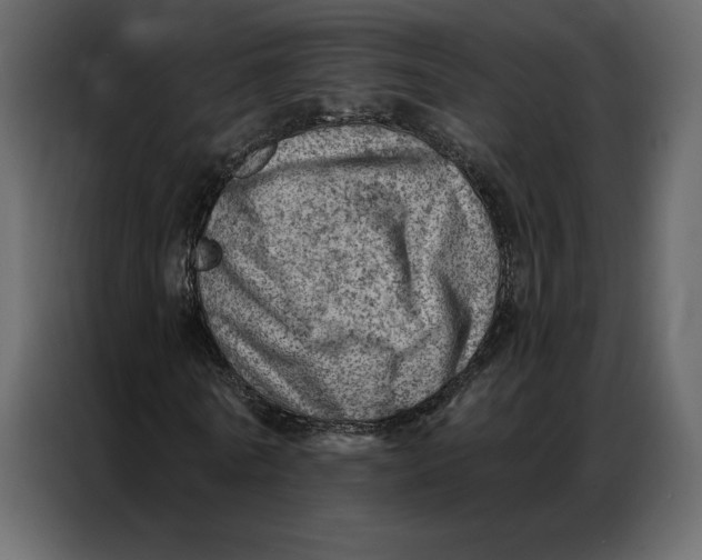 X0000086980770200705071416