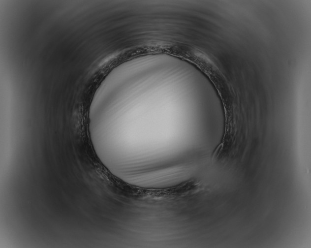 X0000086980773200705071416