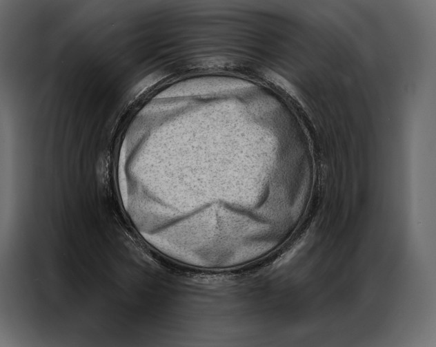 X0000086980778200705071416