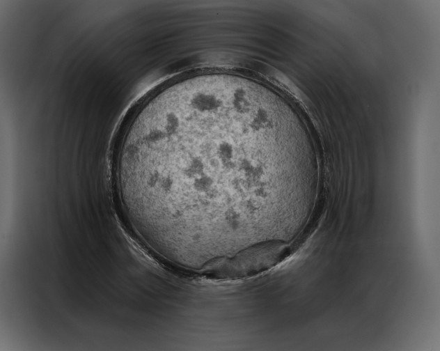 X0000086980779200705071416