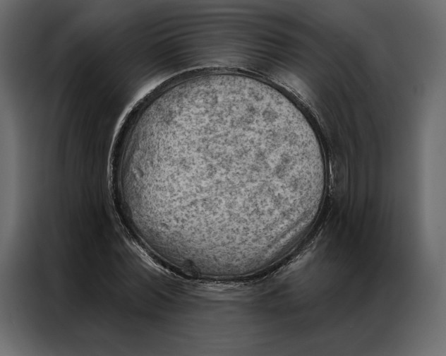 X0000086980780200705071416