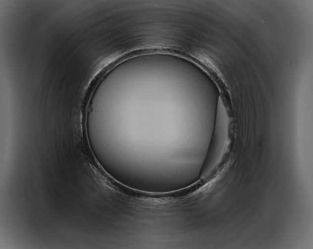 X0000086980781200705071416