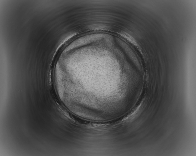 X0000086980782200705071416