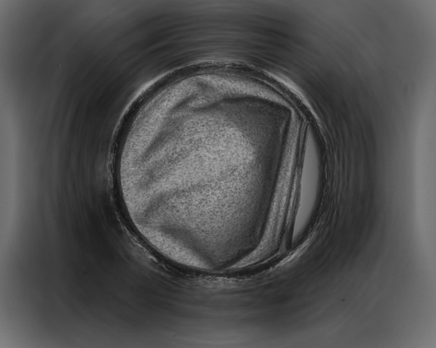 X0000086980783200705071416