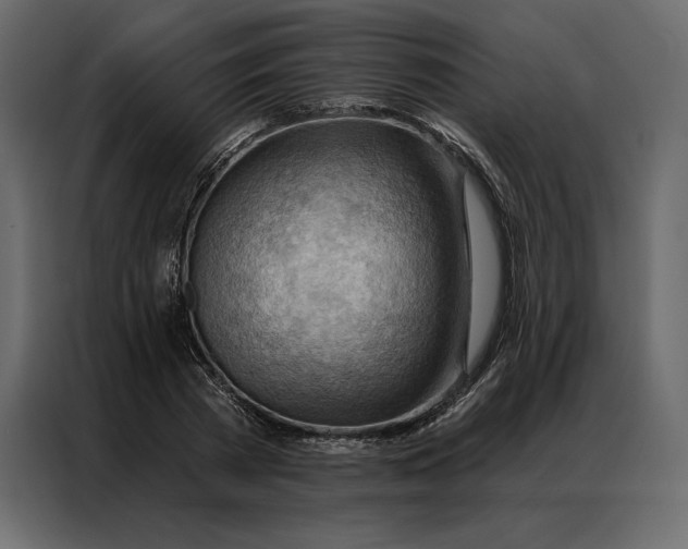 X0000086980785200705071416