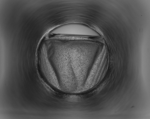 X0000086980787200705071416