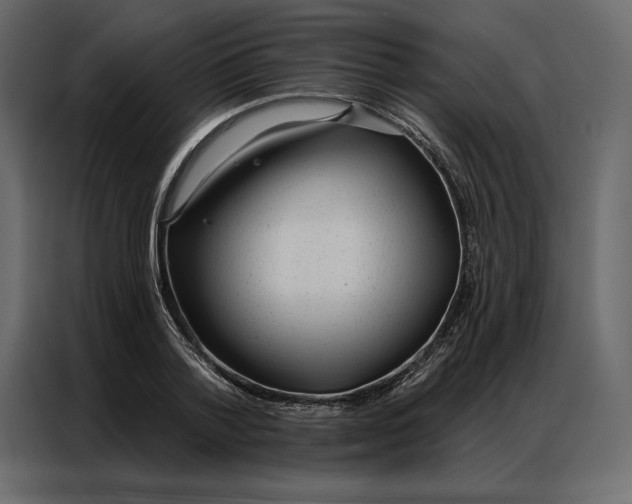 X0000086980788200705071416