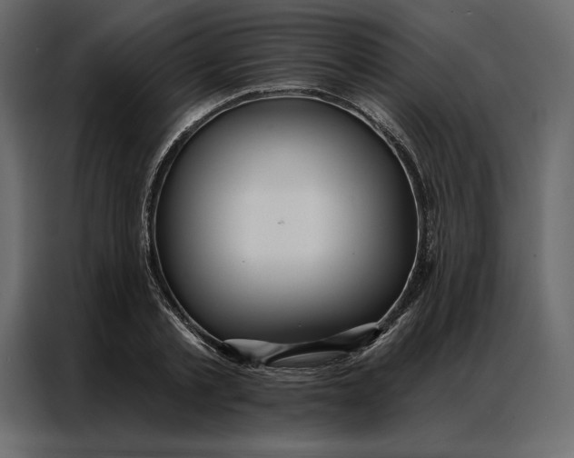 X0000086980789200705071416