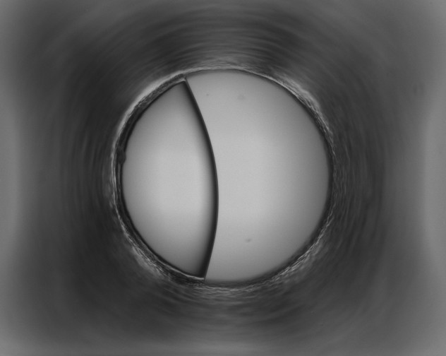 X0000086980792200705071416