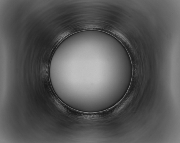 X0000086980793200705071416