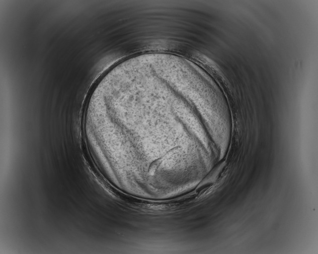 X0000086980794200705071416