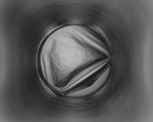 X0000086980795200705071416