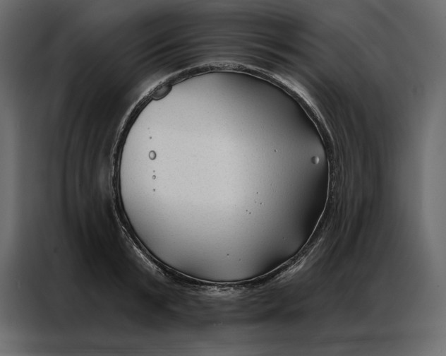 X0000086980799200705071416