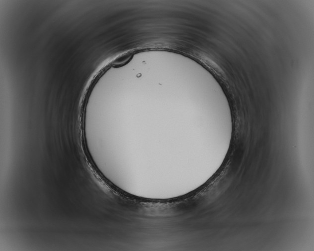 X0000086980800200705071415