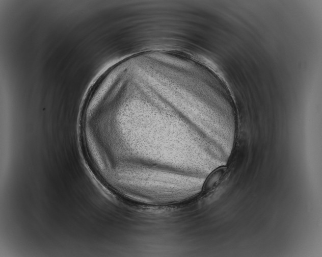 X0000086980803200705071415