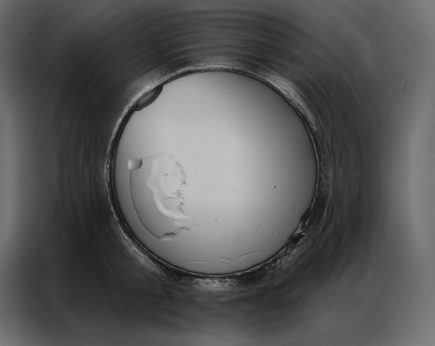 X0000086980805200705071415