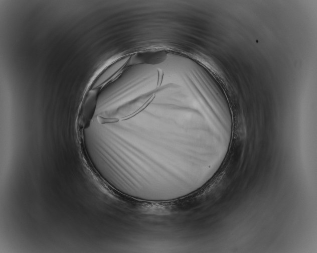 X0000086980806200705071415