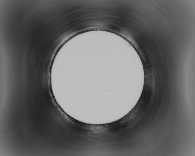 X0000086980807200705071415