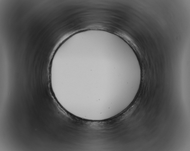 X0000086980808200705071415