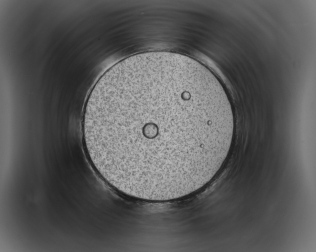 X0000086980810200705071415