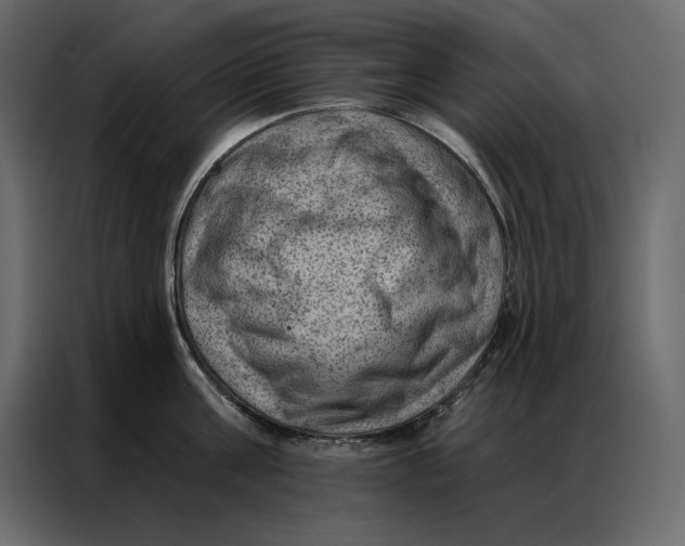 X0000086980811200705071415