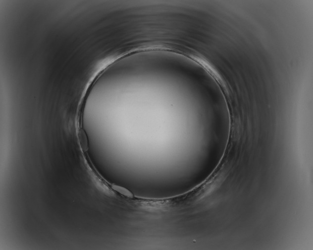 X0000086980813200705071415