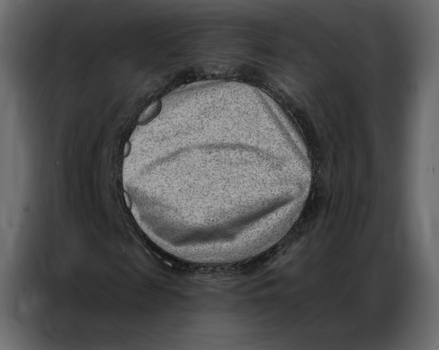 X0000086980817200705071415