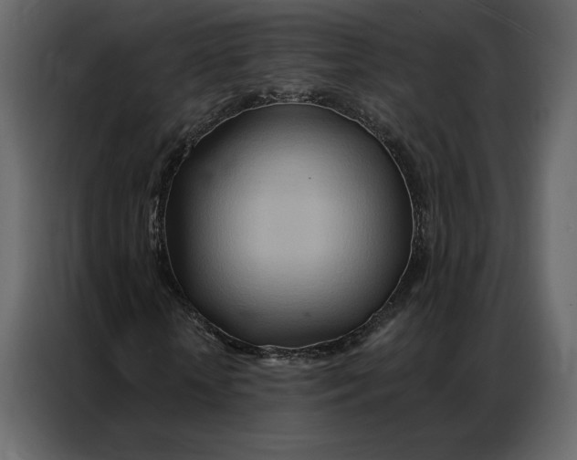 X0000086980818200705071415