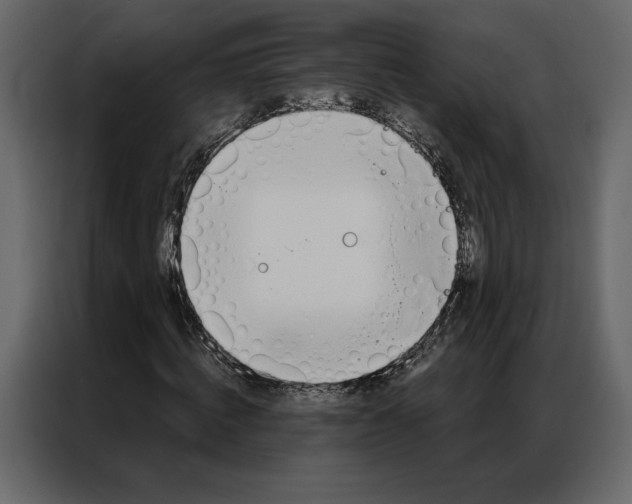 X0000086980820200705071415