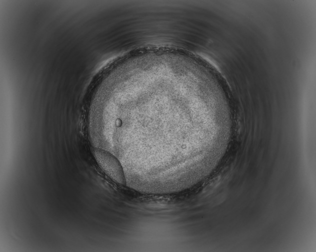 X0000086980823200705071415