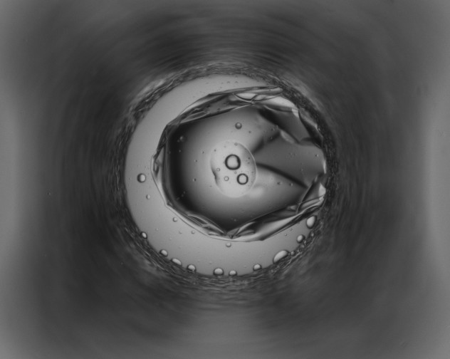 X0000086980824200705071415