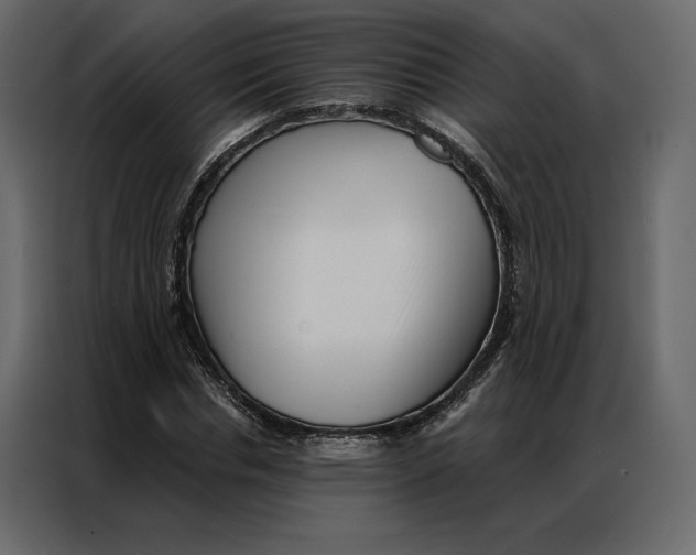 X0000086980826200705071415