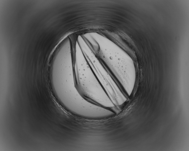 X0000086980828200705071415