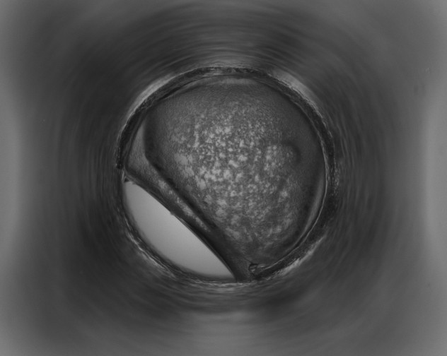 X0000086980829200705071415