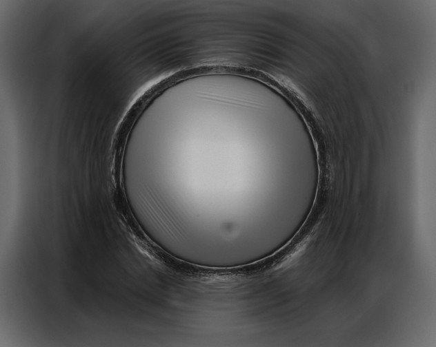 X0000086980830200705071415