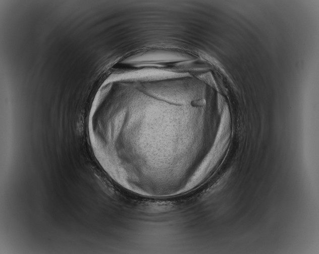 X0000086980833200705071415