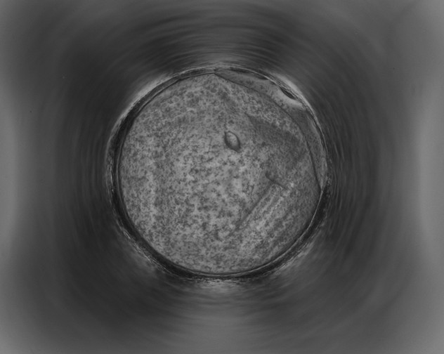 X0000086980835200705071415