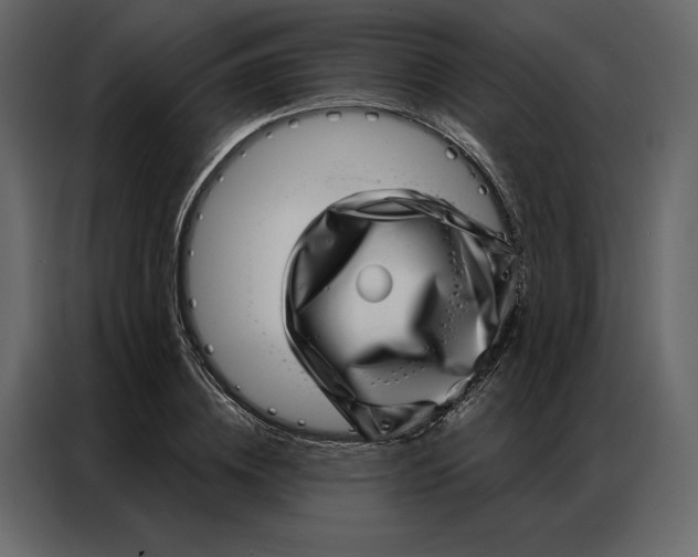 X0000086980836200705071415