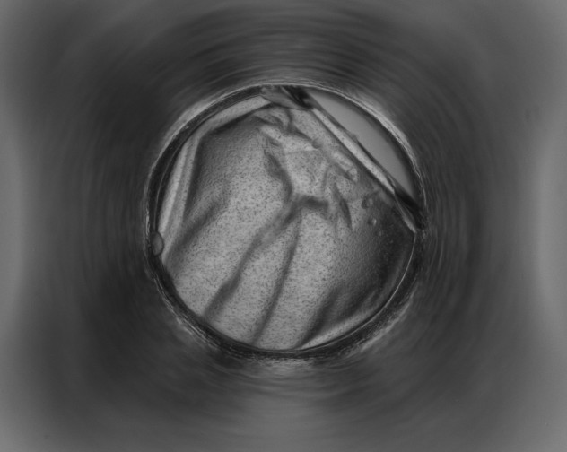 X0000086980837200705071415