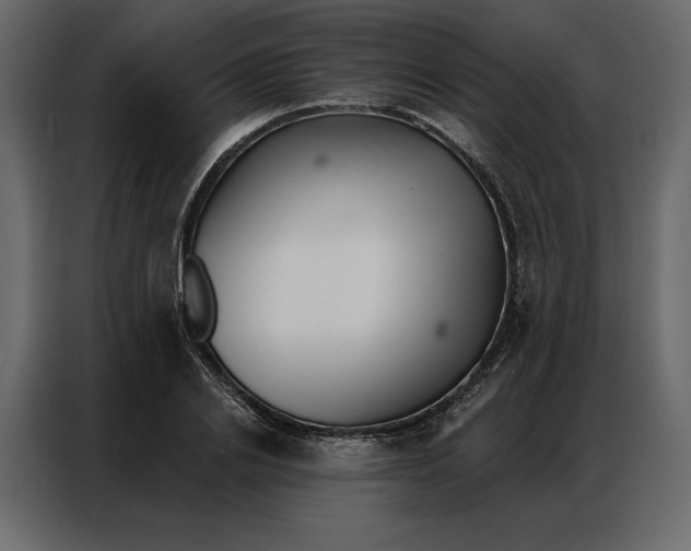 X0000086980838200705071415