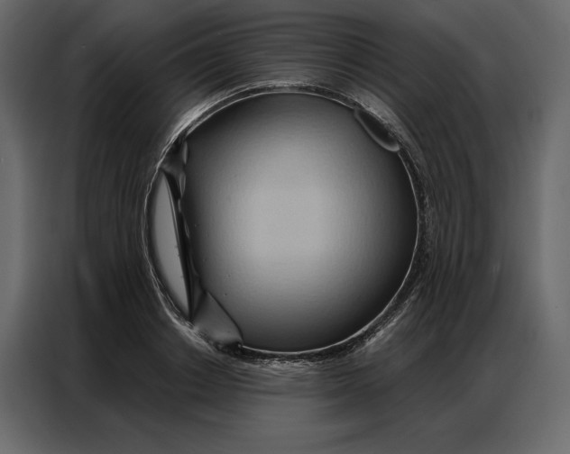 X0000086980842200705071415