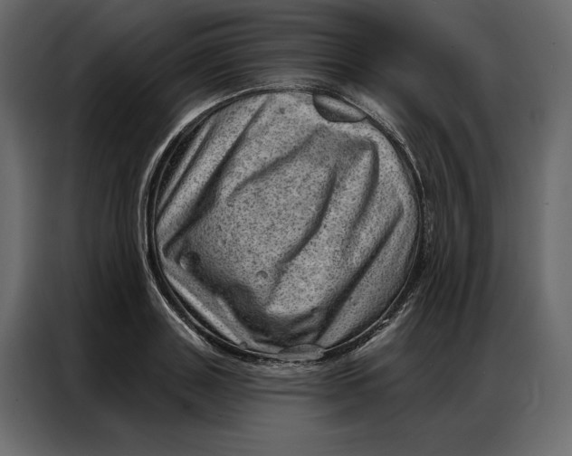 X0000086980843200705071415