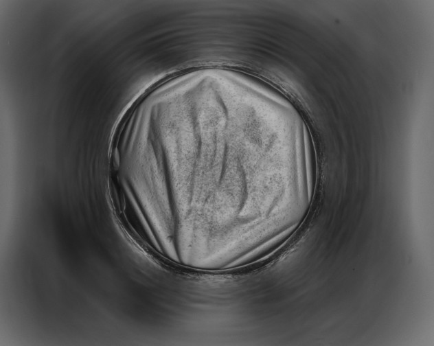 X0000086980844200705071415