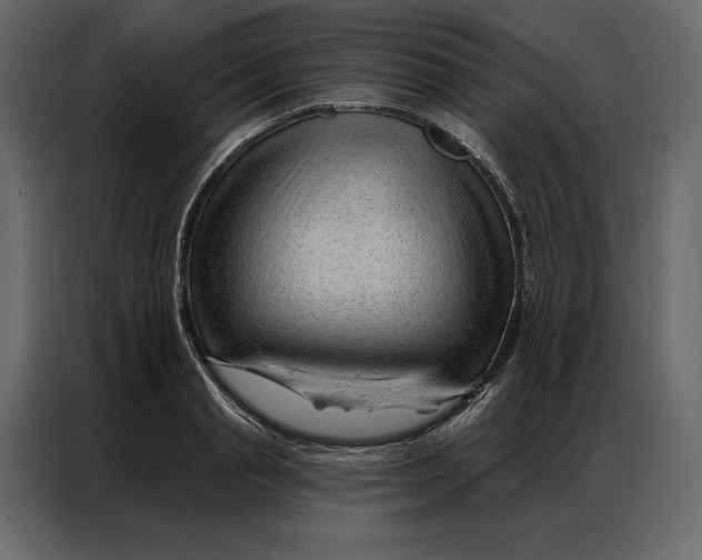 X0000086980845200705071415