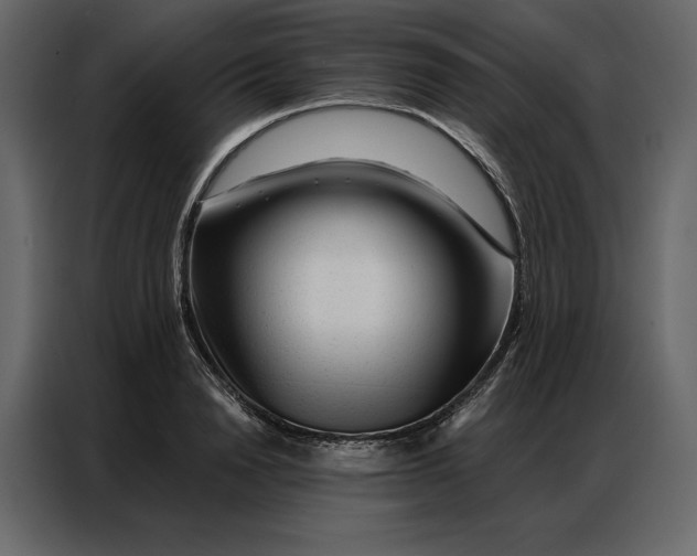 X0000086980846200705071415