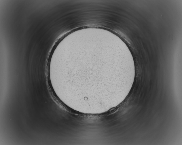 X0000086980848200705071415