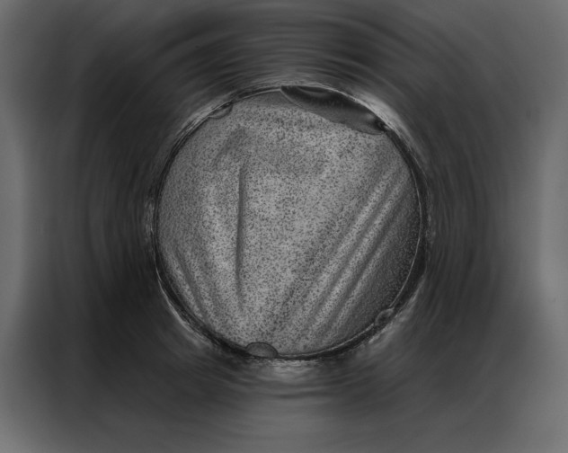 X0000086980849200705071415