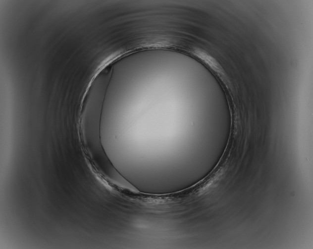 X0000086980850200705071415